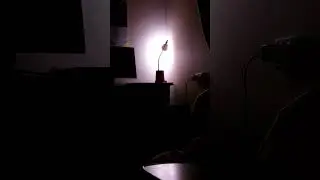 Аня поёт 