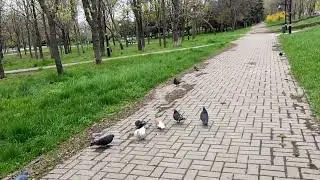 #Мариуполь