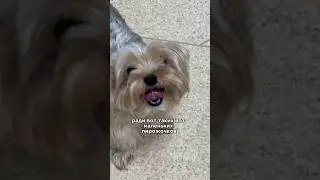 Когда понимаешь, что все не зря ❤️
