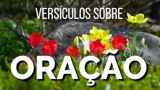 VERSÍCULOS SOBRE ORAÇÃO
