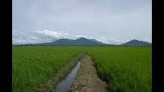 A Day in a Life of a Farmer