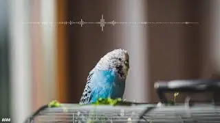 Coldplay x Mattia Cupelli - O (Fly On) - Extended