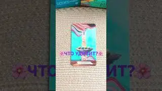 🍀ЧТО УДИВИТ?🍀