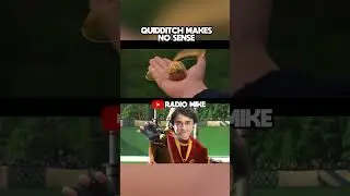 Quidditch MAKES NO SENSE IN HARRY POTTER!!! #harrypotter