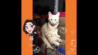 #121 ดึกดื่นแมวไม่ยอมนอนค่ะ นั่งเต้นค่ะพี่พี่จ๋า #ดึกดื่น #cats #კატები #коти #القطط #pişiklər