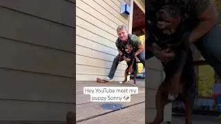Hey YouTube meet my puppy 🐶 #puppy #puppies  #dog  #cute #pets #funny #cutedog #funny #fun #fyp
