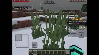 Базовые команды на сервере Raidmine часть 2