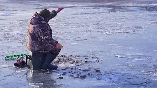 Окунь в изобилии, но перволедье очень коварно