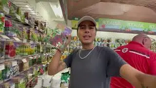 Comprando semillas para el invierno en España 🥶