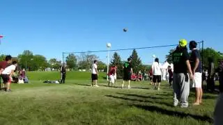 hodemViowa_6