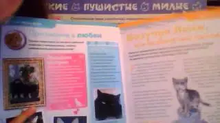 The cat collection выпуск 3