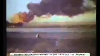 278-ОДКБр