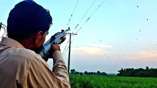 Wild Birds Hunting With Airgun||