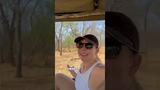 What’s a day on an African safari like?! 🦒🐘📍