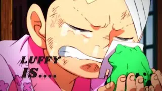 Momo Tells Everyone that Luffy is still alive - one piece 1036