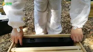 Кормушка внутриульевая боковая пластиковая