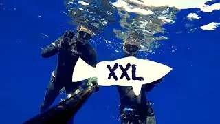 Spearfishing a DREAM  fish at the FIRST dive