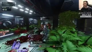 Тестовый стримчик KF 2
