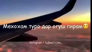 Аминачон