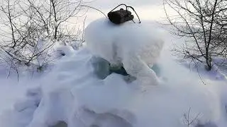 Зимовка пчёл минус 47, главная причина зимнего расплода.