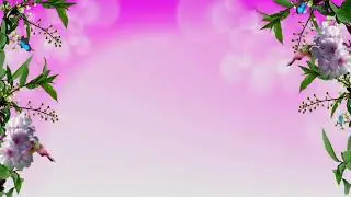 Nature Background Video Effects hd / Full Moon / Garden Tree Black Screen Effects