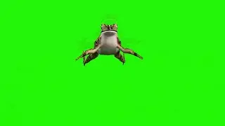 FROG #10 || GREEN SCREEN  || ANIMATION  || FREE 3D