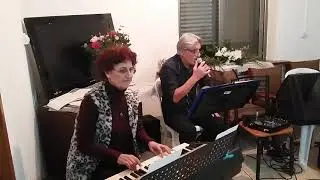טו בשבט חיילים בודדים המשך