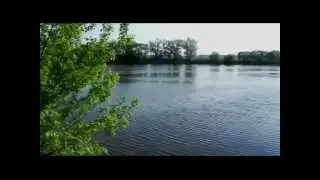 Валерий  Заведяев   Туманы.mp4