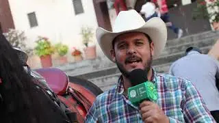 Caballos Cuarto de Milla, Gen del Color e Historia del Queso Cotija… 🐎🧀