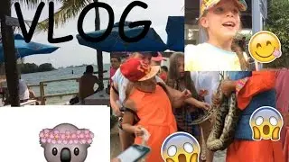 VLOG\СИНГАПУР\СЕНТОЗА\Day 4💜💜💜