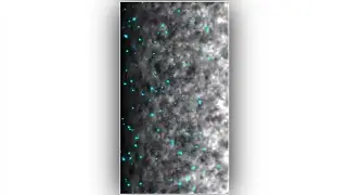 Template Video Background Full Screen | light Effect | Kinemaster Template Black Screen Status