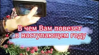 В чем Вам повезет в наступающем году 🎄 ☃️ 🔮