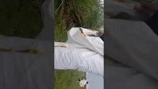 daya babu ..
