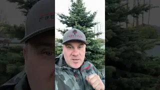 Группа в Телеграмме для общения квадроциклистов. Заходите будем общаться 🔥 