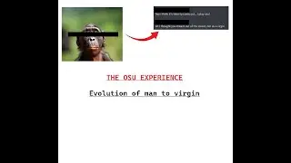 the osu! experience
