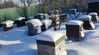 зимовка 13 Января