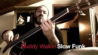 Buddy Walkin - Harley Benton Acoustic Fretless Bass - Slow Funk Jam
