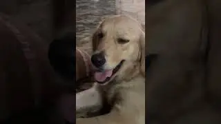 ❤️❤️