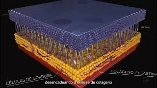 Lançamento - Pison Primeiro BB Laser com 2 comprimentos de onda no Brasil - Medical San
