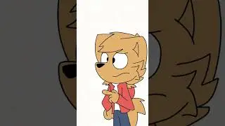when you say 