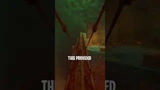 You DIDN'T Know This About STRAY! 