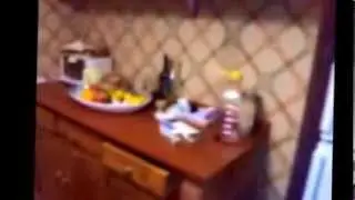 VIDEO -  Vendita Appartamento Roma Pineta Sacchetti - Via la Nebbia