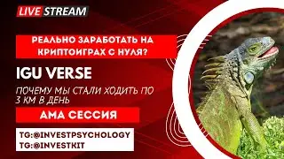 Как зарабатывать деньги в крипте без вложений в 2023 году