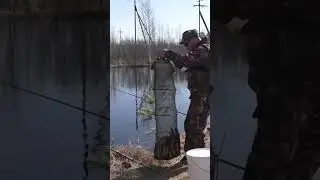 Пол мешка рыбы наловили!!!щука