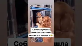 Сердце разрывается 💔