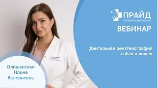 Dental Radiography in Cats and Dogs