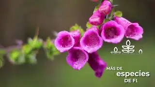 Reserva Forestal El Malmo - Tunja