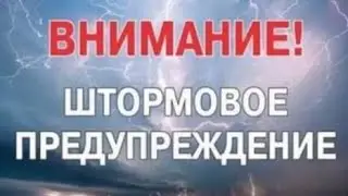 Что вам нужно знать?🤔