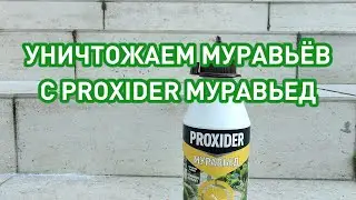Выводим муравьев дома и на даче с помощью PROXIDER Муравьед