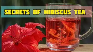 Health Benefits of Hibiscus Tea || Healthy Life